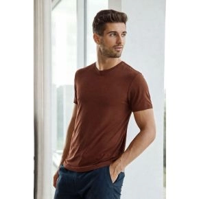 Brun bambus t-shirt til m&aelig;nd, JBS of Denmark - Tr&oslash;jer til m&aelig;nd